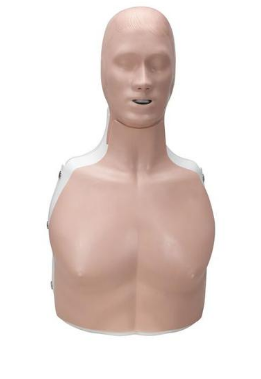 Basic Billy Simulator Lieferumfang: 1 Grundkorpus mit abnehmbaren Brustkorb 2 Federn (rot = Erwachse