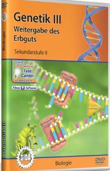 DVD * Gentik III - Weitergabe des Erbguts * Aufbaud er DNA - Replikation der Reparatur der DNA -