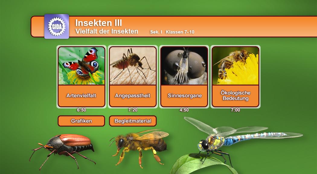 Insekten III: Vielfalt der Insekten