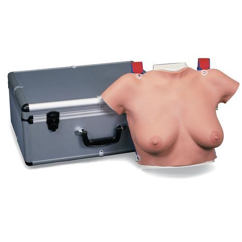 Brust-Tastmodell zum Umhängen im Transportkoffer