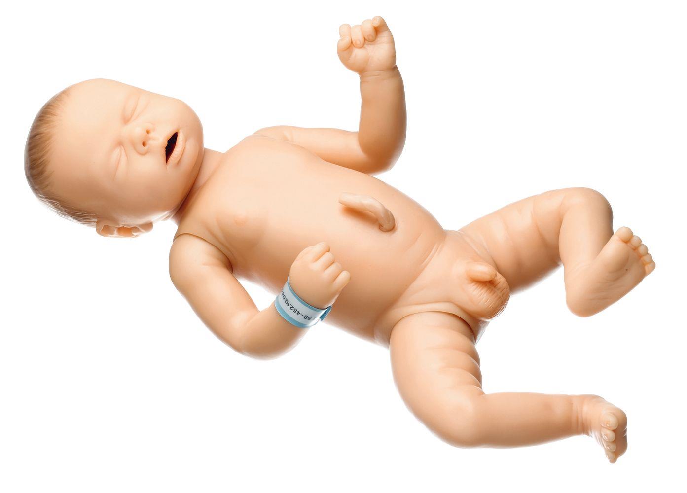 Neugeborenenbaby, männlich - Somso