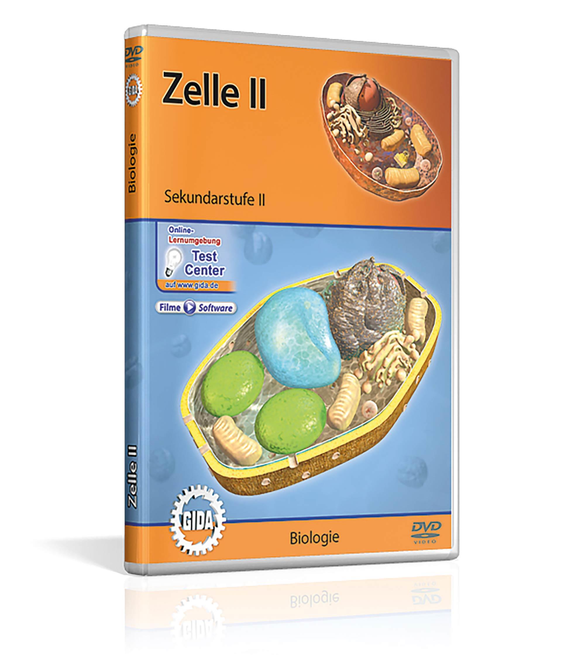 Zelle II