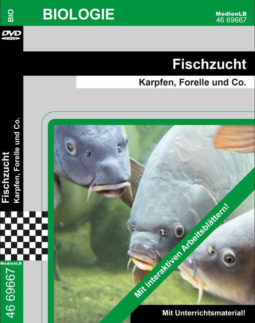 DVD * Fischzucht * Karpfen, Forelle & Co., moderne Fischzucht