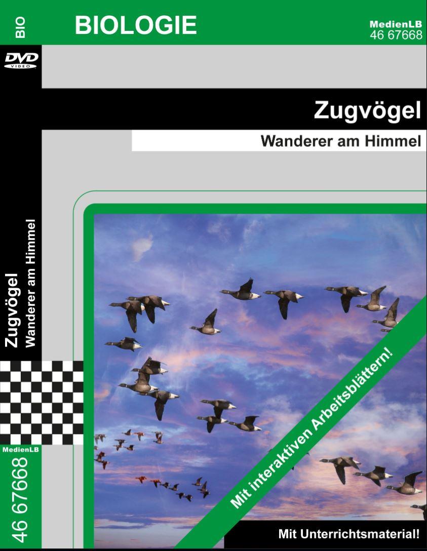 DVD * Zugvögel * Wanderer am Himmel, Welche Vogelarten die Jahreszeiten an unterschiedlichen