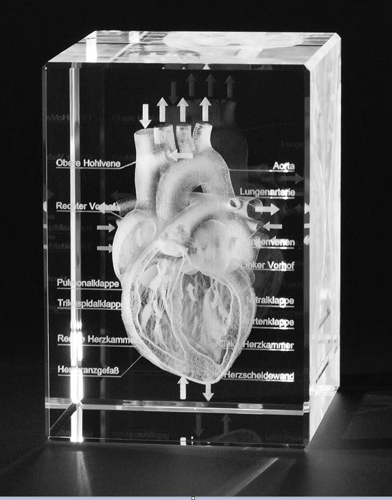 3-D Kristall *Herz offen *im Querschnitt mit Beschriftung  Maße: 100x70x60mm