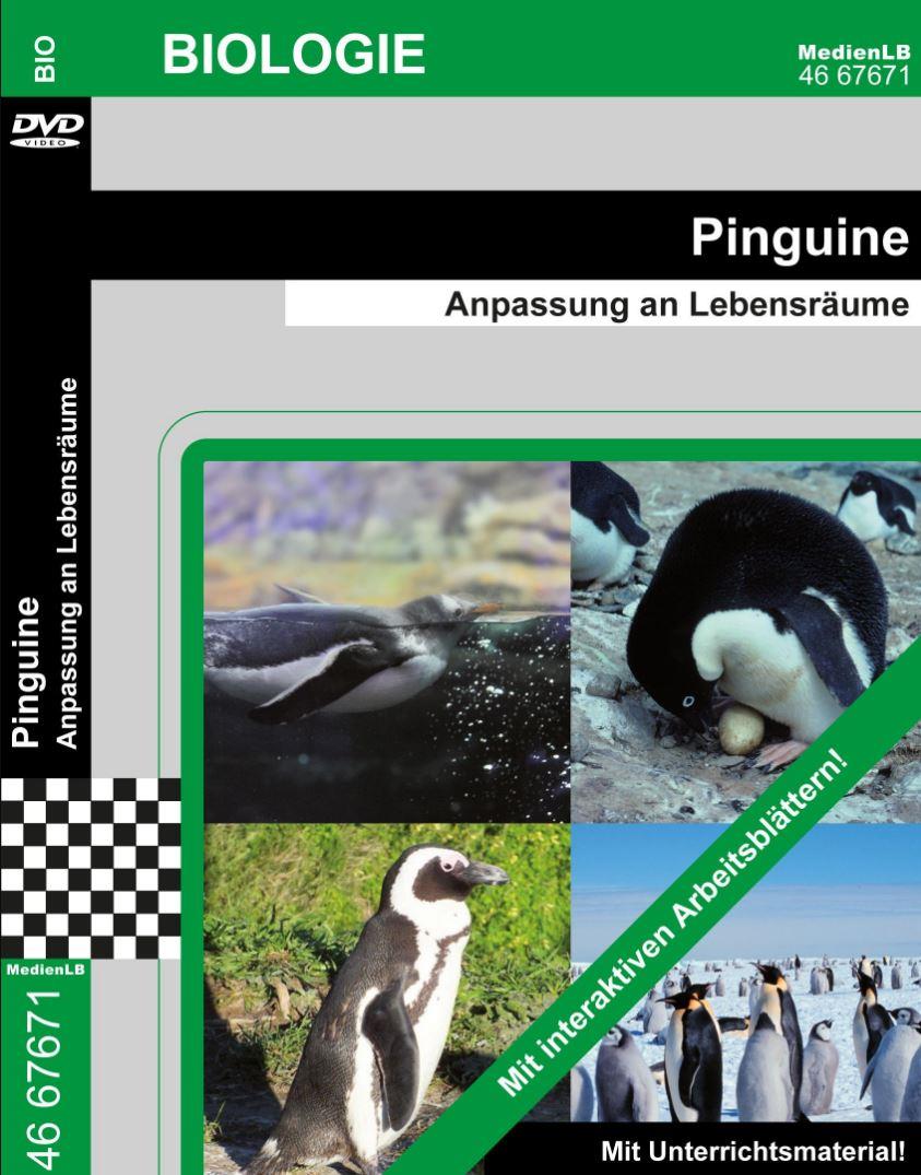 DVD * Pinguine * Anpassung und Lebensräume, alle Vögel sind das  Ergebnis von